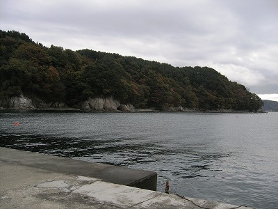 大槌湾.jpg