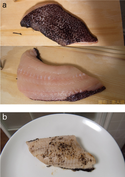 魚話その181 狼魚と香辛料 素人魂 特濃魚汁