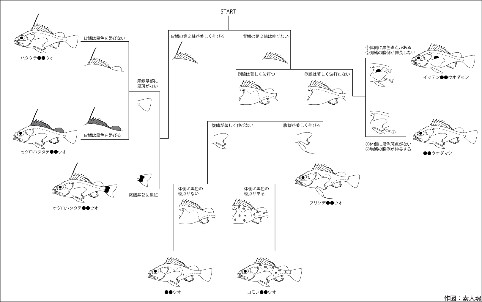 魚話その196 でぃーふぉーしー Demands On Developing Digital Devices And Contents 素人魂 特濃 魚汁